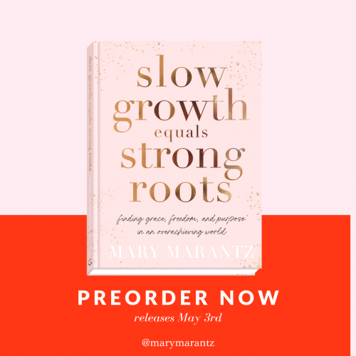 Slow Growth Launch Graphics - Feed